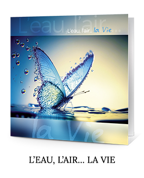 Carte de voeux EAU PAPILLON